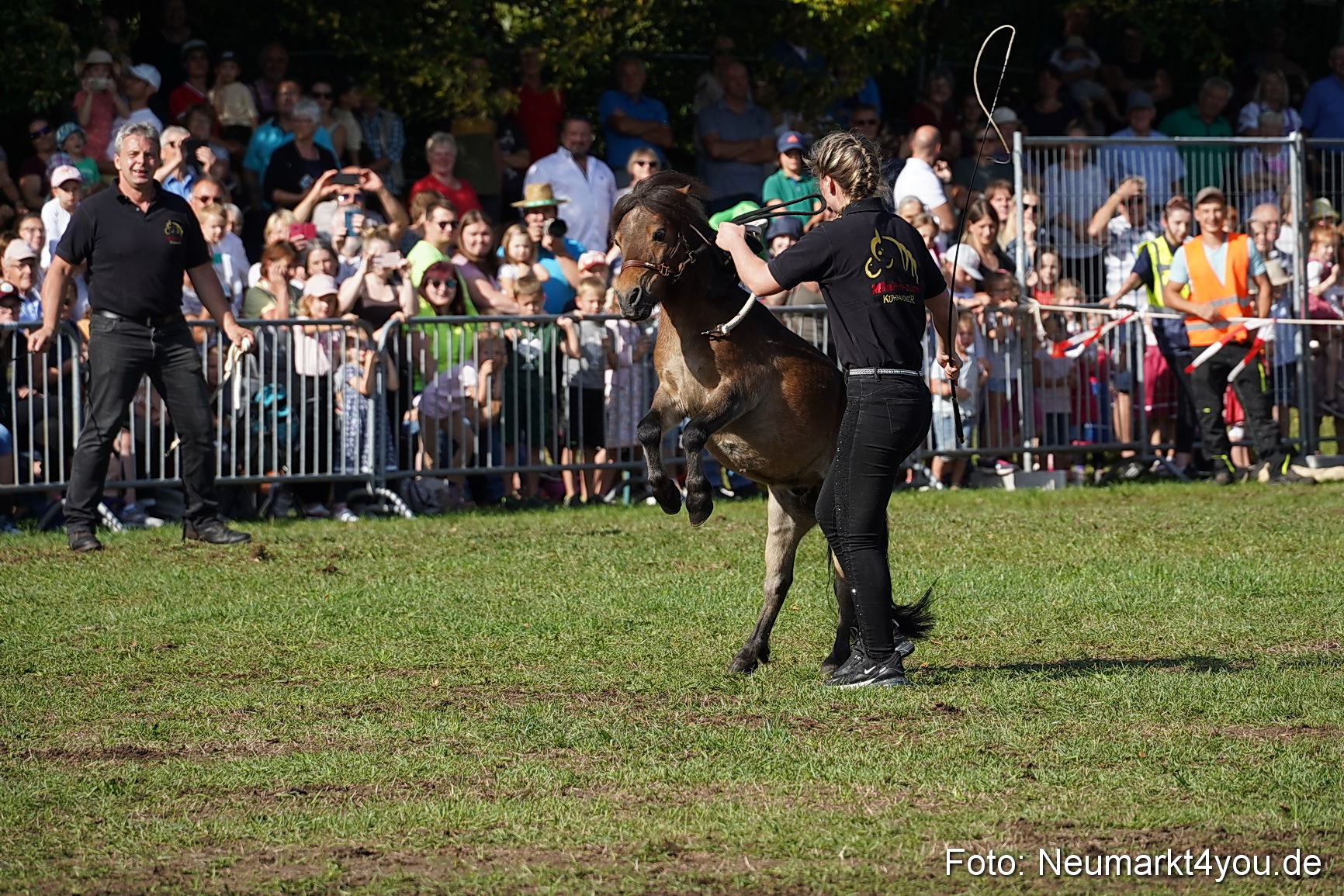 Pferde und Fohlenschau 2022 0080 
